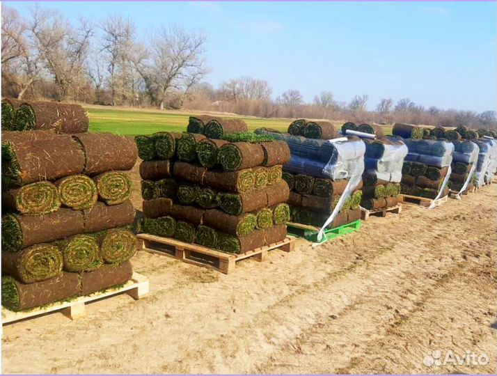 Рулонный газон спортивный под ключ