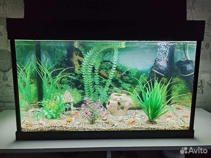 Аквариум