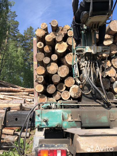 Лес кругляк пиловочник 2 сорт