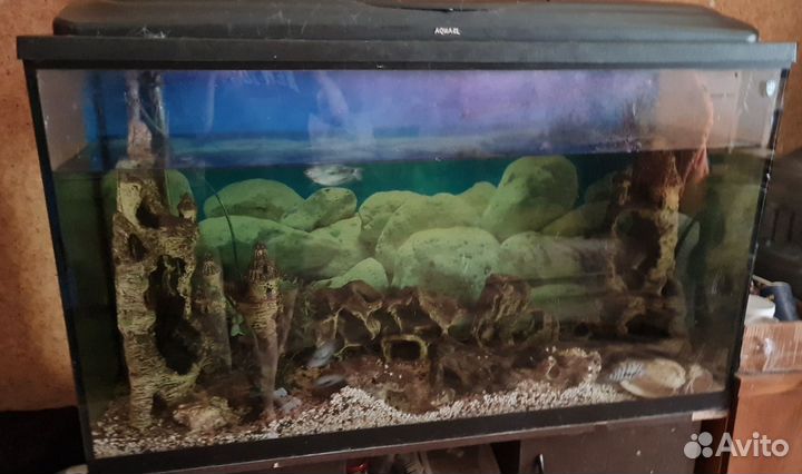 Аквариум с тумбой