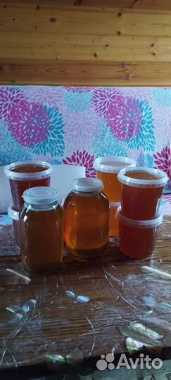 Мёд урожай 2023 года