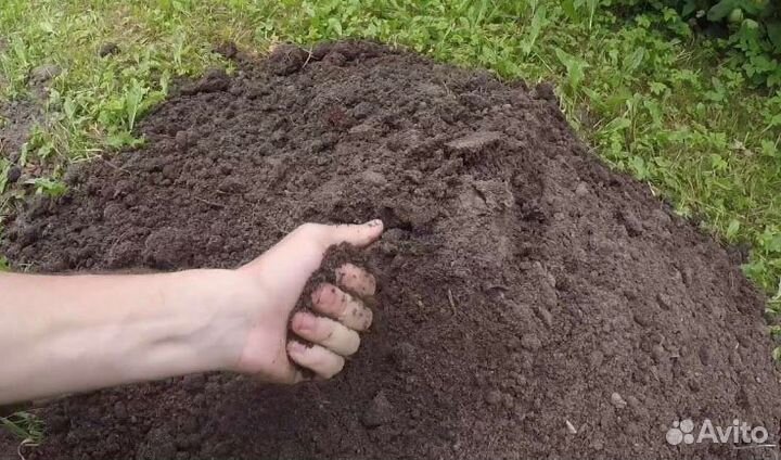 Земля для газона, теплиц, грядок