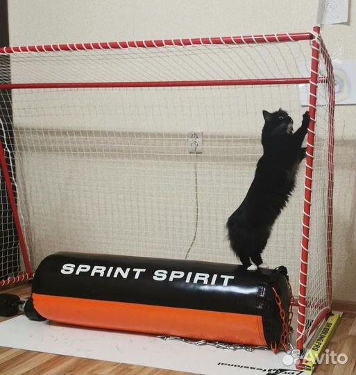 Хоккейные ворота с имитатором вратаря