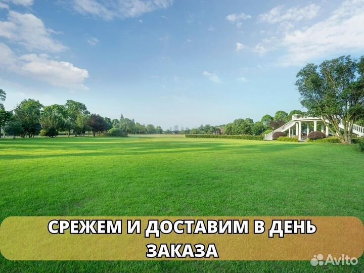 Укладка и продажа рулонного газона