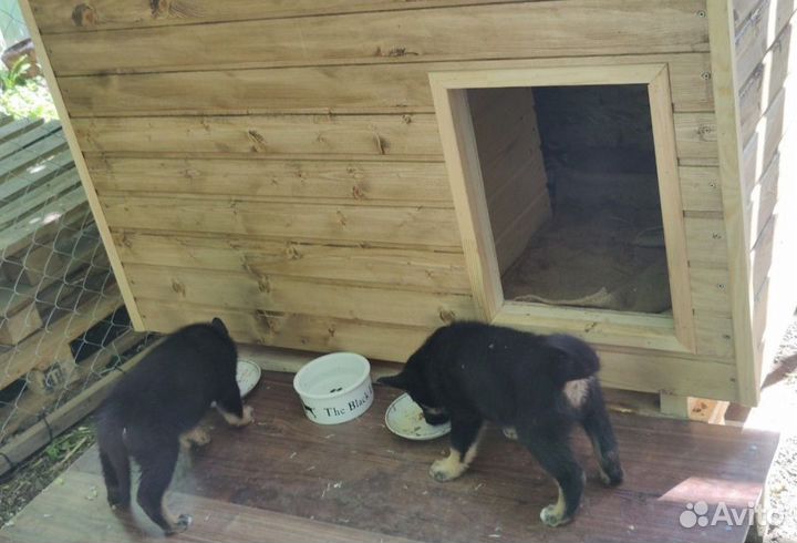 Будка уличная