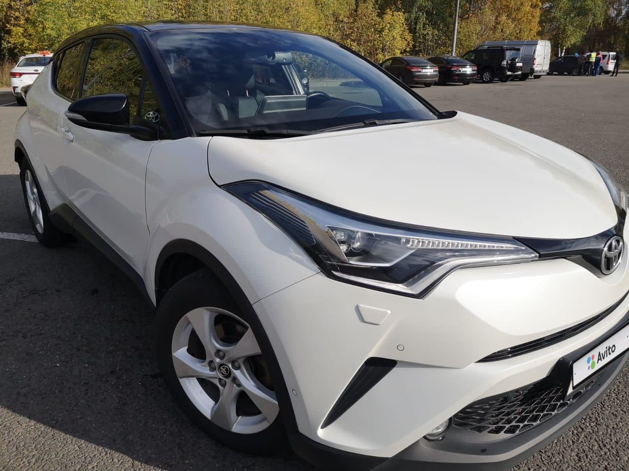 Toyota C-HR: фото владельца