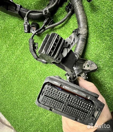 Проводка двигателя Toyota Camry XV70 A25afks 2020