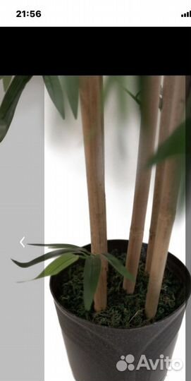 Бамбук искусственный