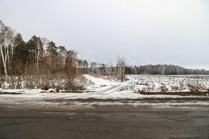 Участок 45 сот. (СНТ, ДНП)