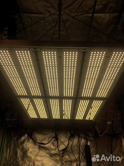 Квантумборд- полный спектр 360 w