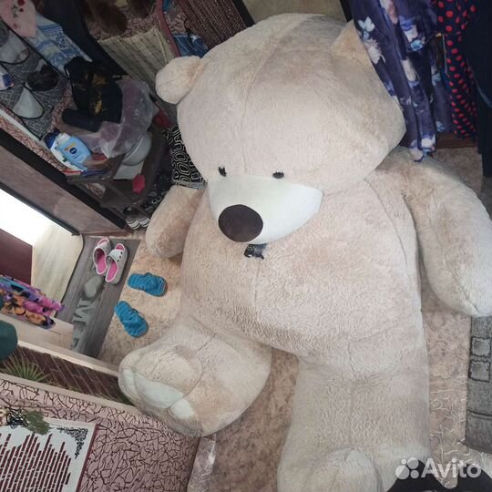 Большие плюшевые медведи