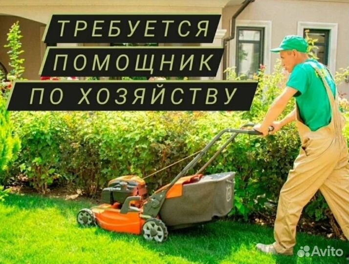 Помощник по даче