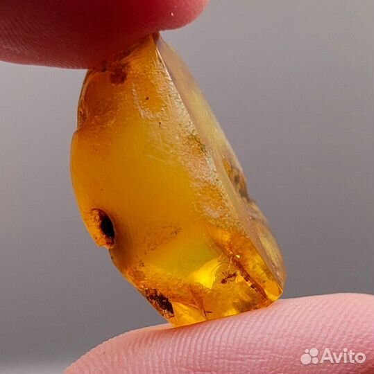 Инклюз - Муравей / Окаменелости