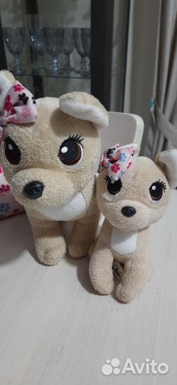 Собачки чичилав оригинал новые