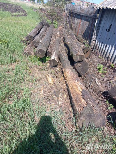 Бревна дубовые
