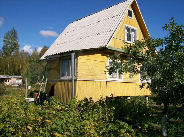 авито кириши бесплатные. купить 1 комнатную квартиру в киришах вторичное. кириши недвижимость. авито кириши бесплатные. авито недвижимость ленинградская область киришский район.