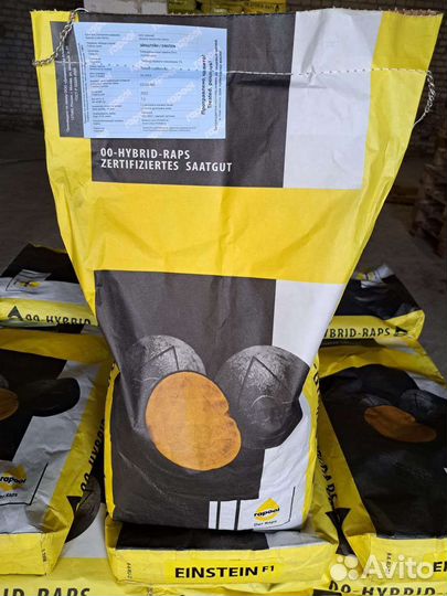 Продам семена рапса