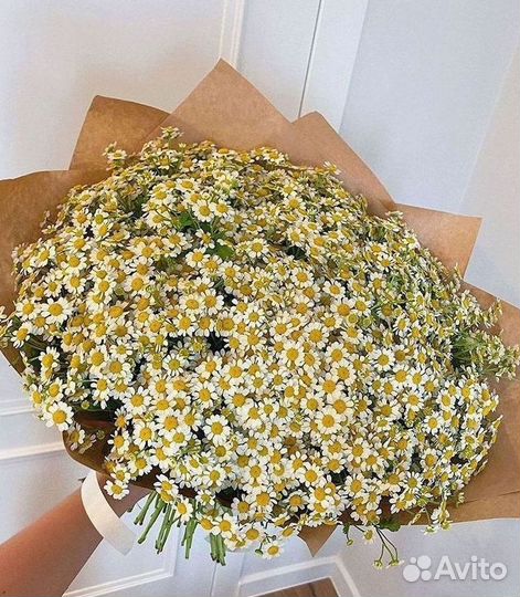 Букеты. Доставка ромашек