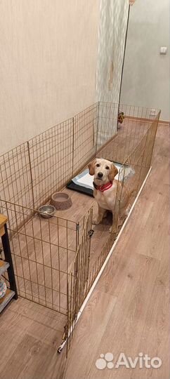 Вольер для собак в квартиру
