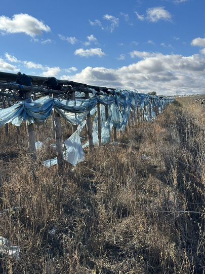 Участок 9 га (СНТ, ДНП)