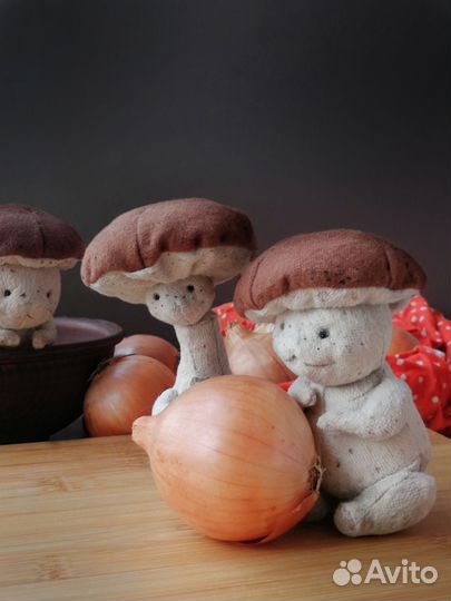 Гриб Тедди худой