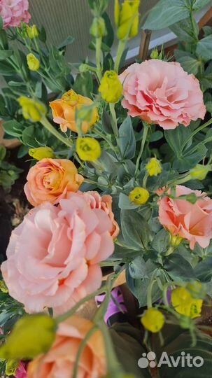 Эустома - готовые букеты