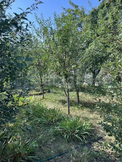 Дача 20 м² на участке 4,9 сот.