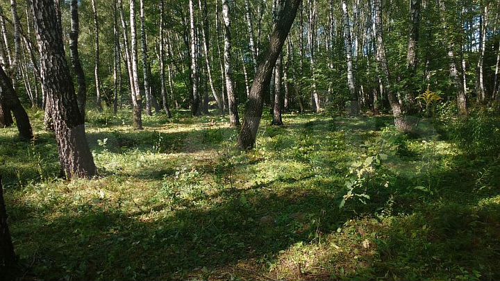 Участок 35 сот. (ИЖС)