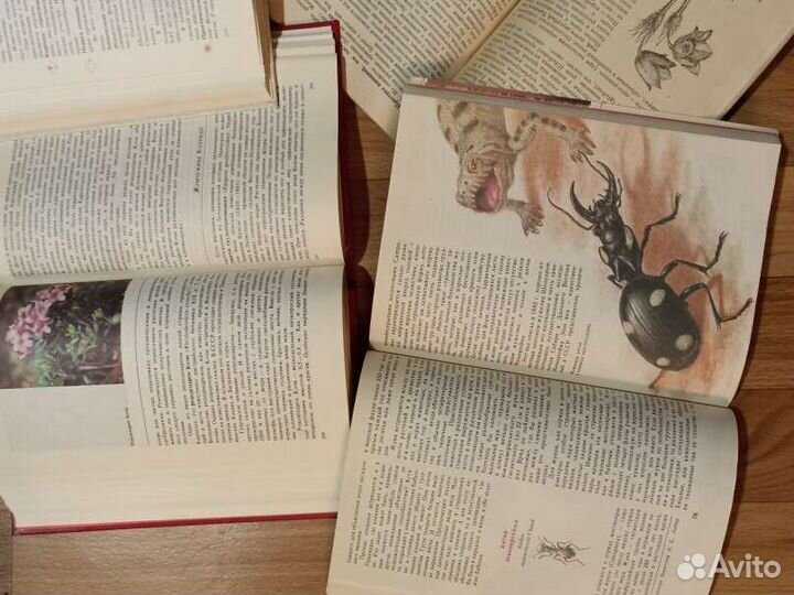 Книги про редкие и исчезающие растения и животные