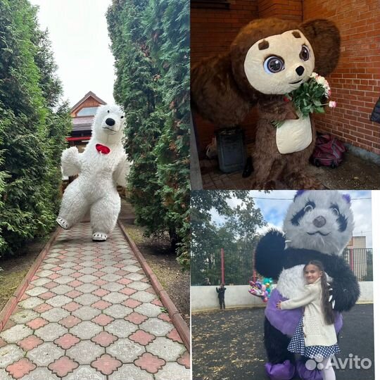 Белый мишка, панда, чебурашка на праздник