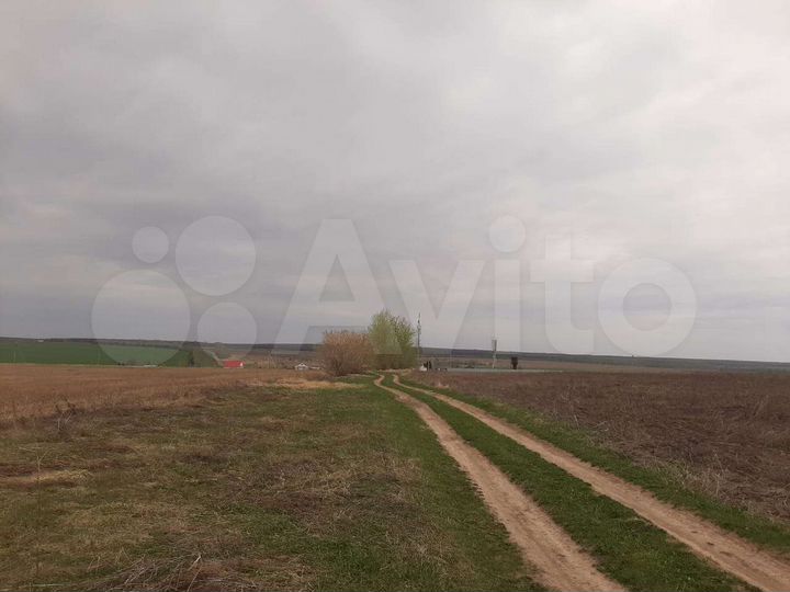 Участок 19 га (СНТ, ДНП)