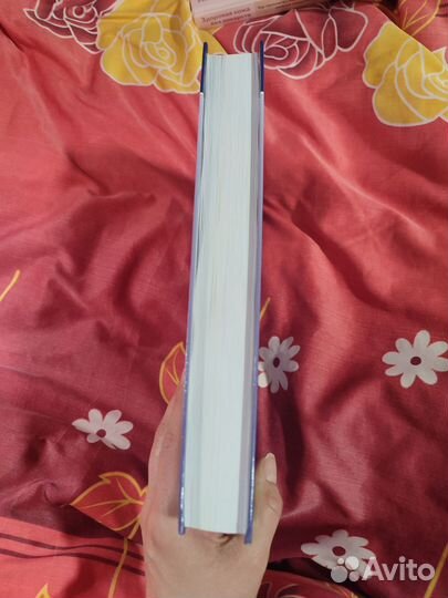 Анатомия собаки и кошки Б. Фольмерхаус, Й. Фревейн