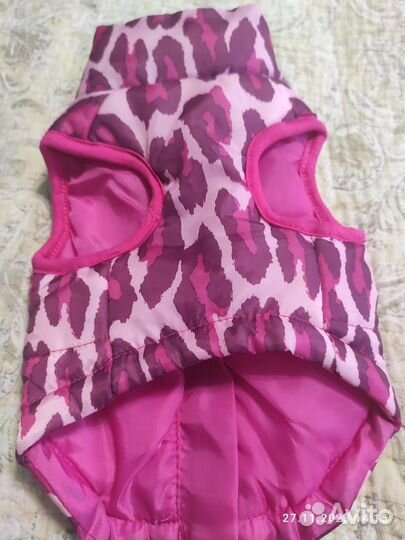 Одежда для маленьких собак