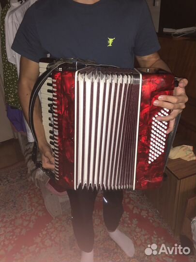 Французский баян