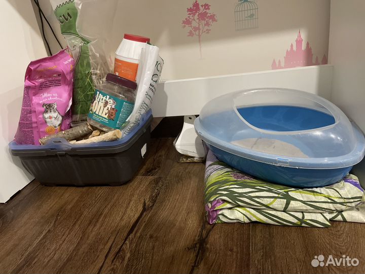 Продам все для шиншиллы