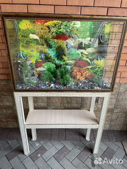 Аквариумные рыбки