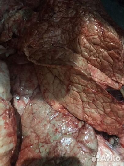 Косточки, обрезы, легкие для собак