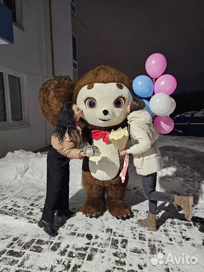 Чебурашка Поздравление. Аниматор на праздник