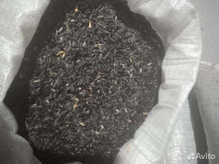 Семечки подсолнуха для птиц и на масло