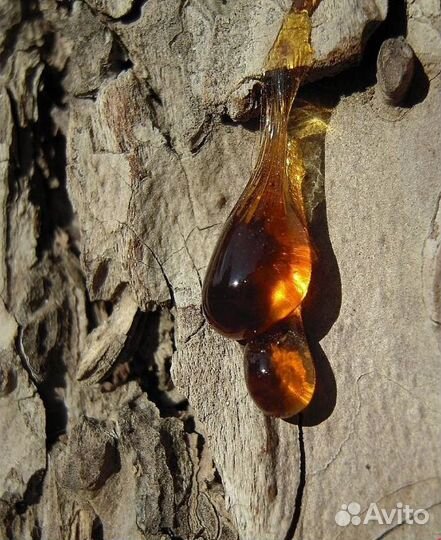 Балхам настоящий с прополисом, для Казани