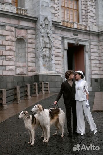 Свадебный фотограф