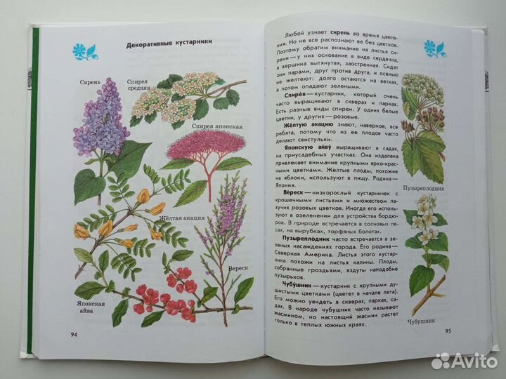 Плешаков Атлас определитель От Земли до неба