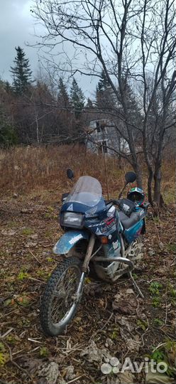 Хонда трансальп 400