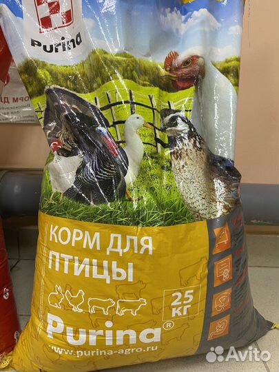 Комбикорм, зерно