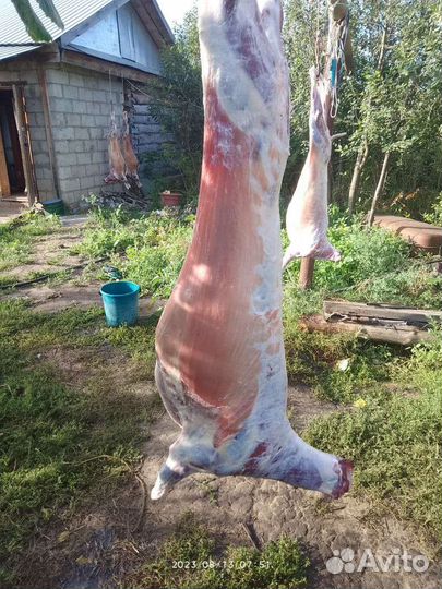 Продам козье мясо