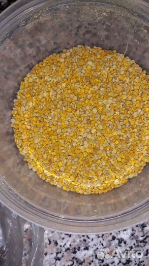 Пыльца пчелиная 2022 г Алтайский край