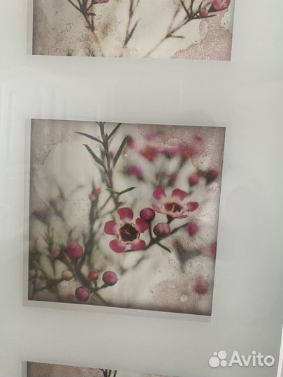 Картины в рамке IKEA