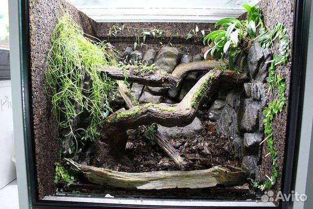 Террариум для змей с оборудованием и декором