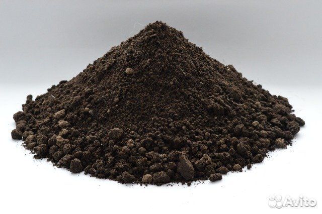 Торфогрунт