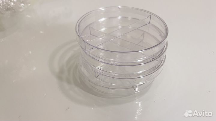 Чашки Петри